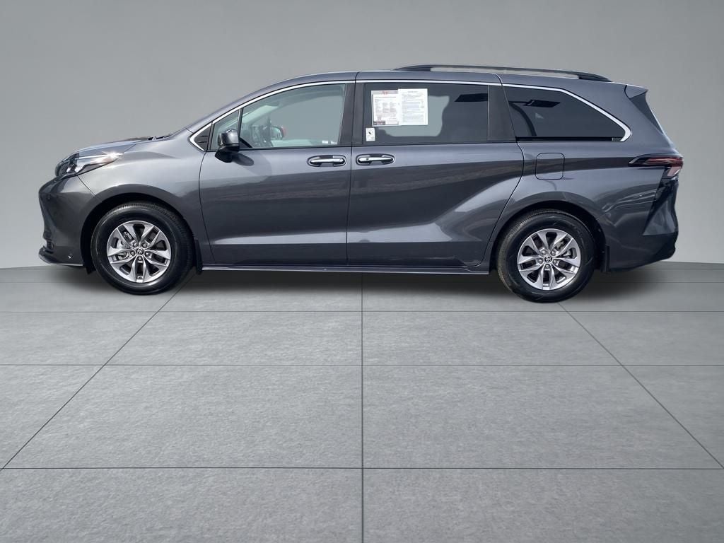 2025 Toyota Sienna XLE 8 Passenger