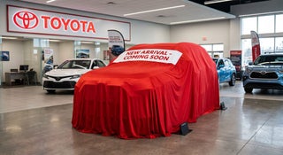 2017 Toyota Sienna XLE 8 Passenger