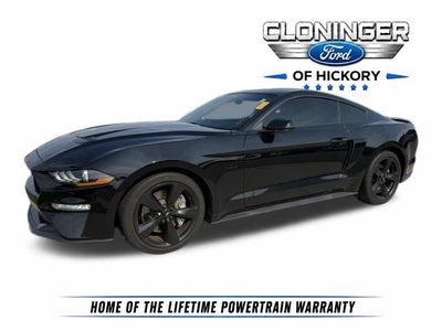 2023 Ford Mustang GT Premium