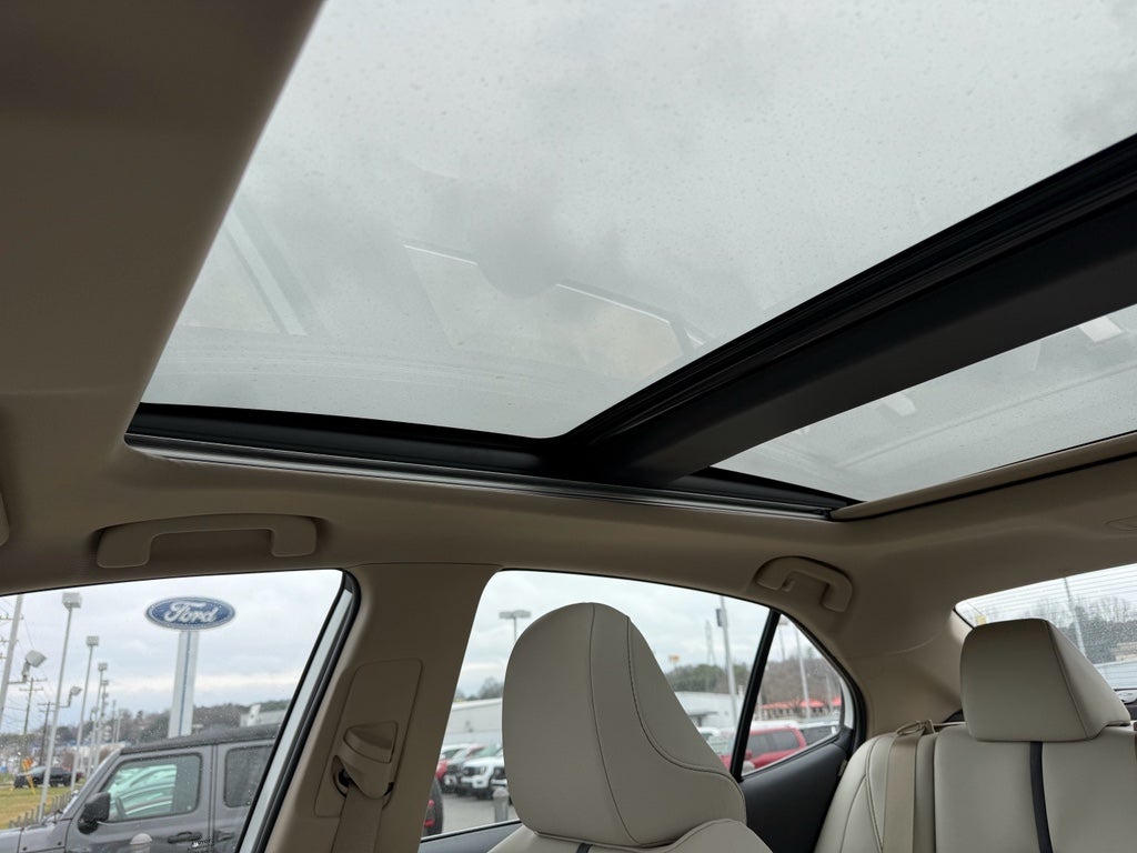 2023 Toyota Camry XLE