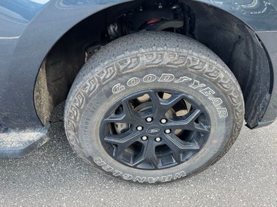 2024 Ford Expedition Timberline