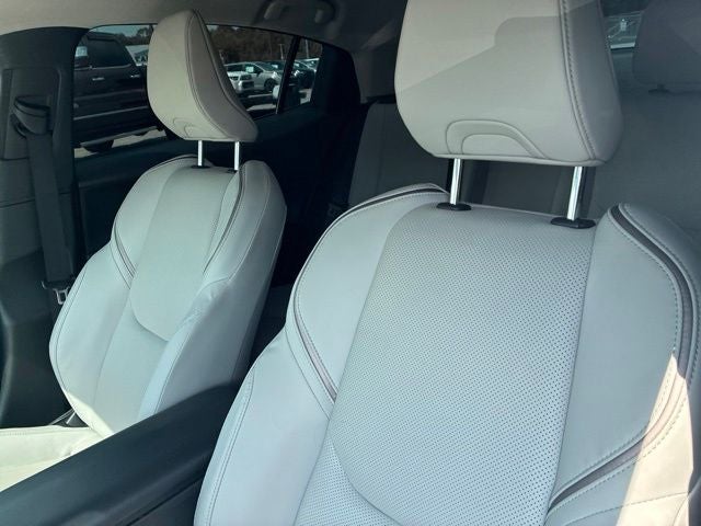 2025 Toyota Prius XLE